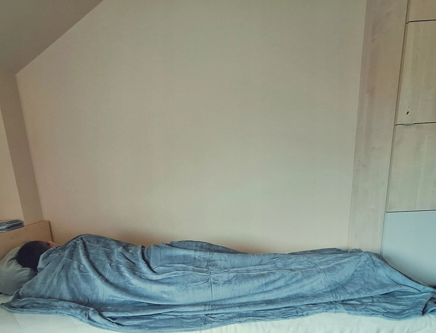 Haskio šuo pliušinis žaislas - pagalvė, 3in1 rinkinys, didelis minkštas žaislas su antklode