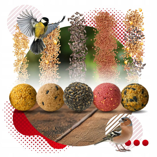 Premium spalvotas lesalas lesykloms – 50 vnt.