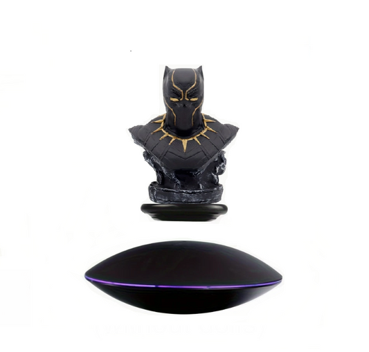 Magnetinis levituojantis padėklas