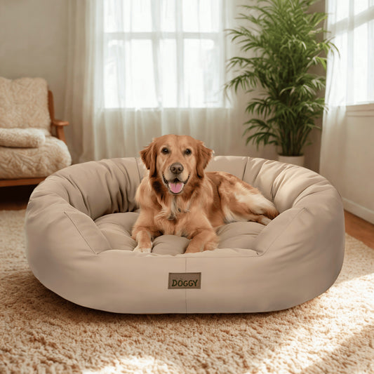 Šuns guolis XXL 114x94 cm - Nuimamas čiužinys