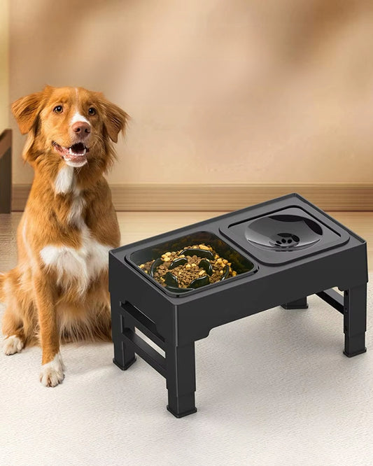 Dviguba šunų dubenėlio, nešlapinanti, sulėtinanti, reguliuojamo aukščio dubenėlio stovas