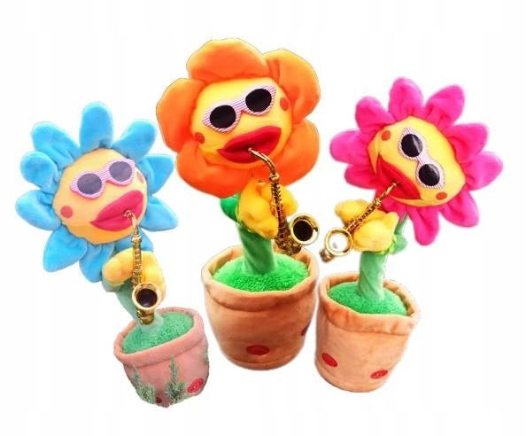 Dainuojanti šokanti saulėgrąžos gėlė, panaši į kaktusą