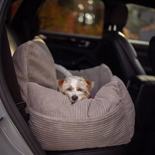 Transportinė kėdutė šuniui, katei automobilyje + Graviruojamas vardas NEMOKAMAI