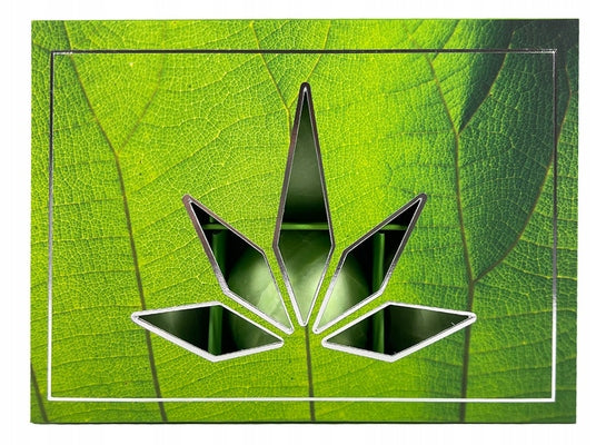 WELLNESS PREMIUM rinkinys vonios rutuliukų 6vnt