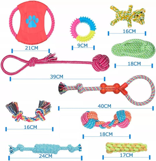 Šunų žaislų rinkinys