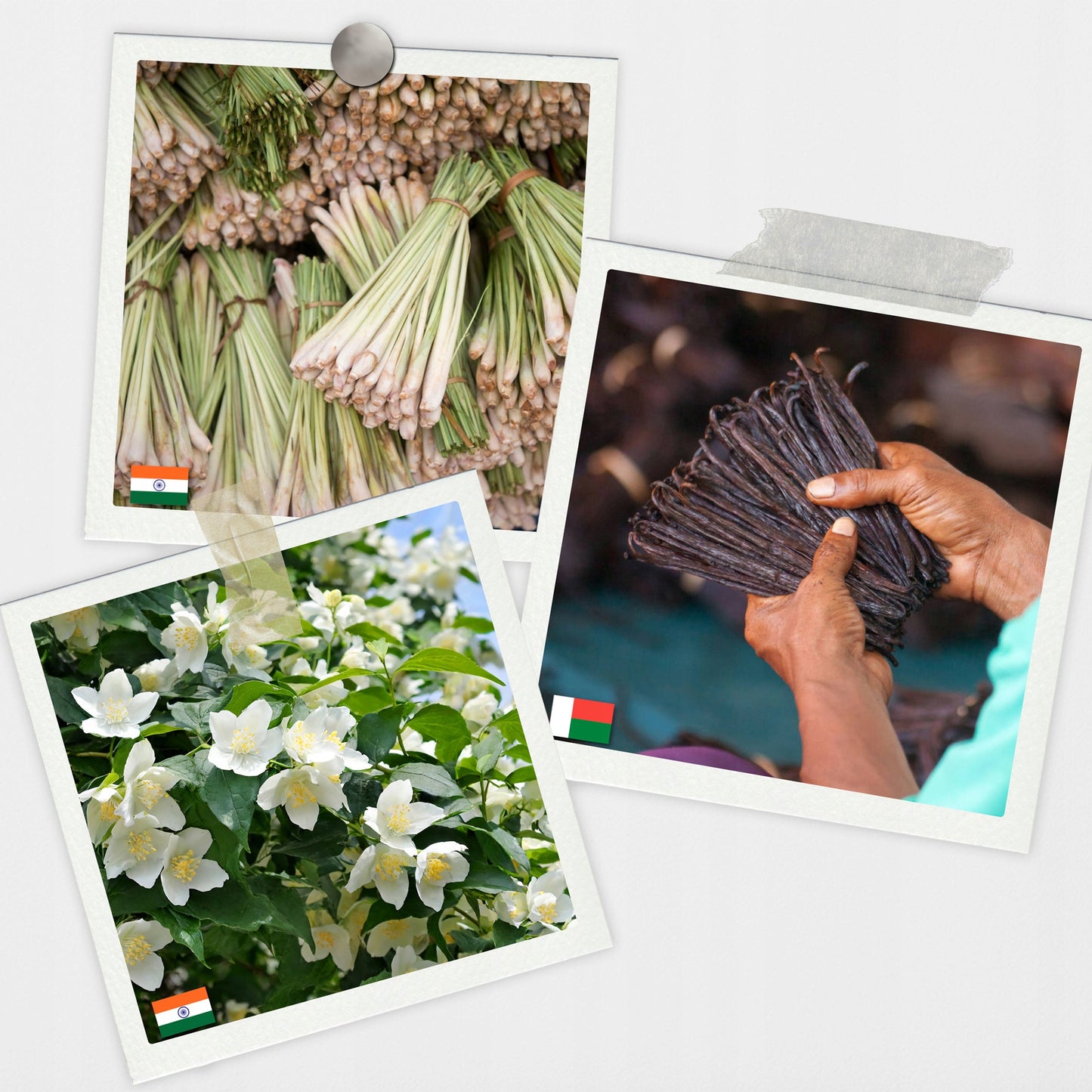 Natūralių aliejų rinkinys pirčiai 20 vnt. ALL