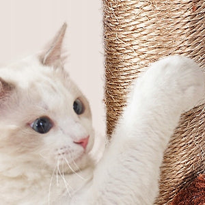 Katės draskyklė palmių stulpelis žaislas