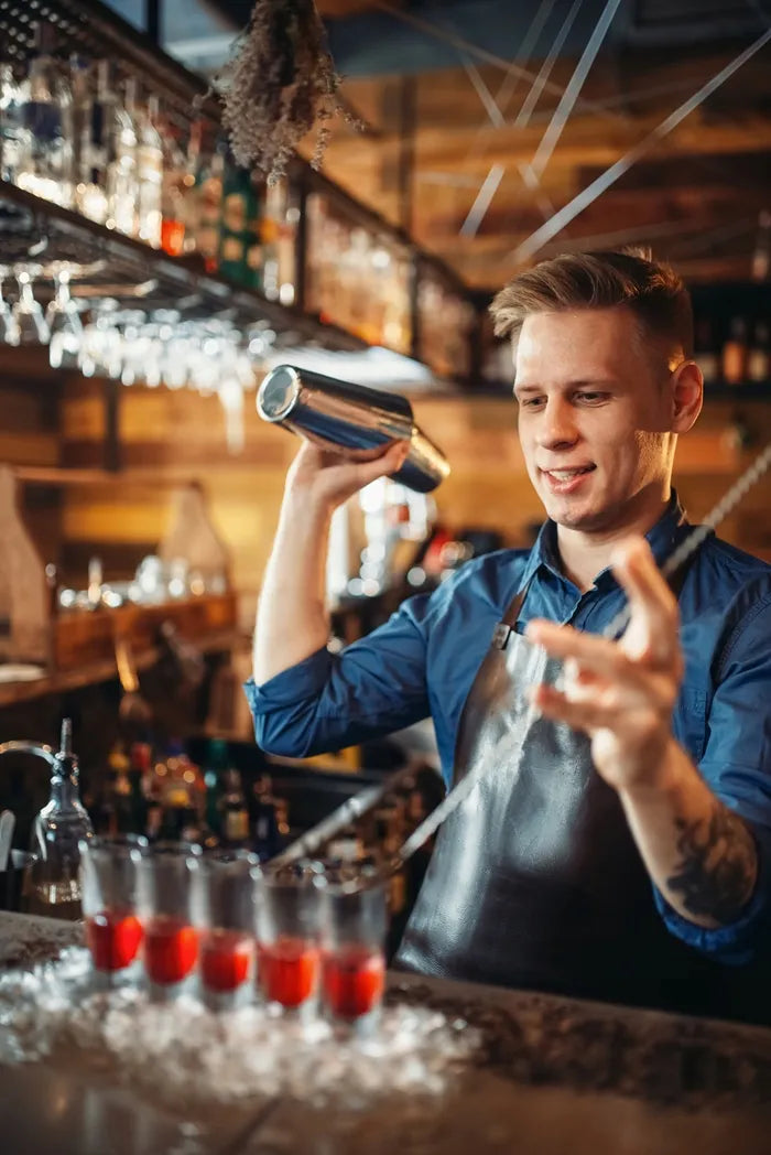 14 dalių baro reikmenų rinkinys su stovu, sidabrinis „Tin on tin“ plaktuvas