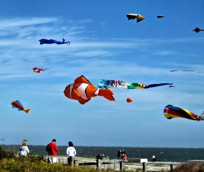 SPORTINIS PLAČIARAITIS SU 2 VIRVĖMIS 140X74CM DIDELIS SKRAIDYS GRAŽIAI SKRAIDO KAIP DRUGELIS