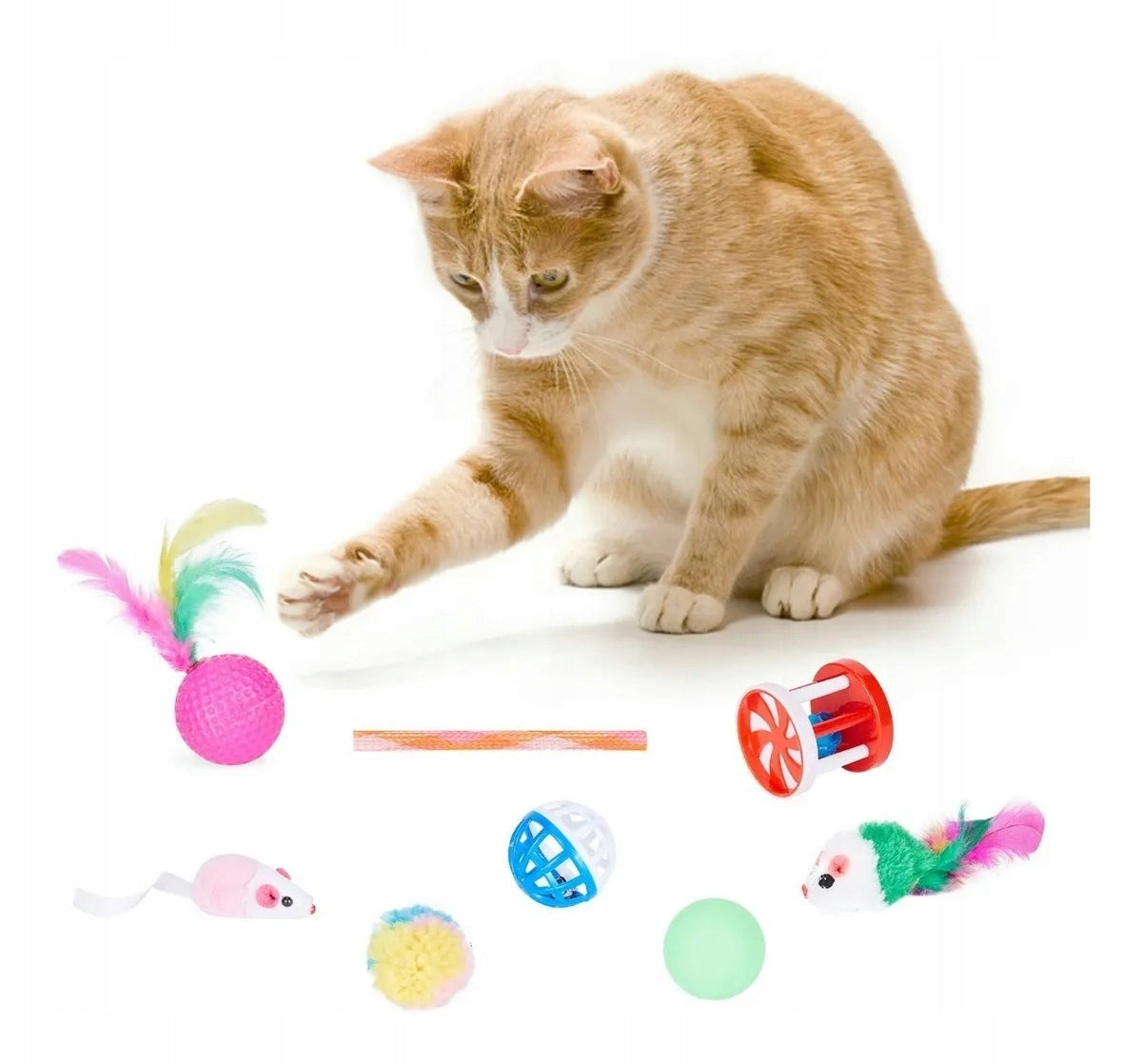 Žaislų rinkinys katėms Žuvis Pelė meškerė didelis tunelis namelis katei 24 vnt XXL