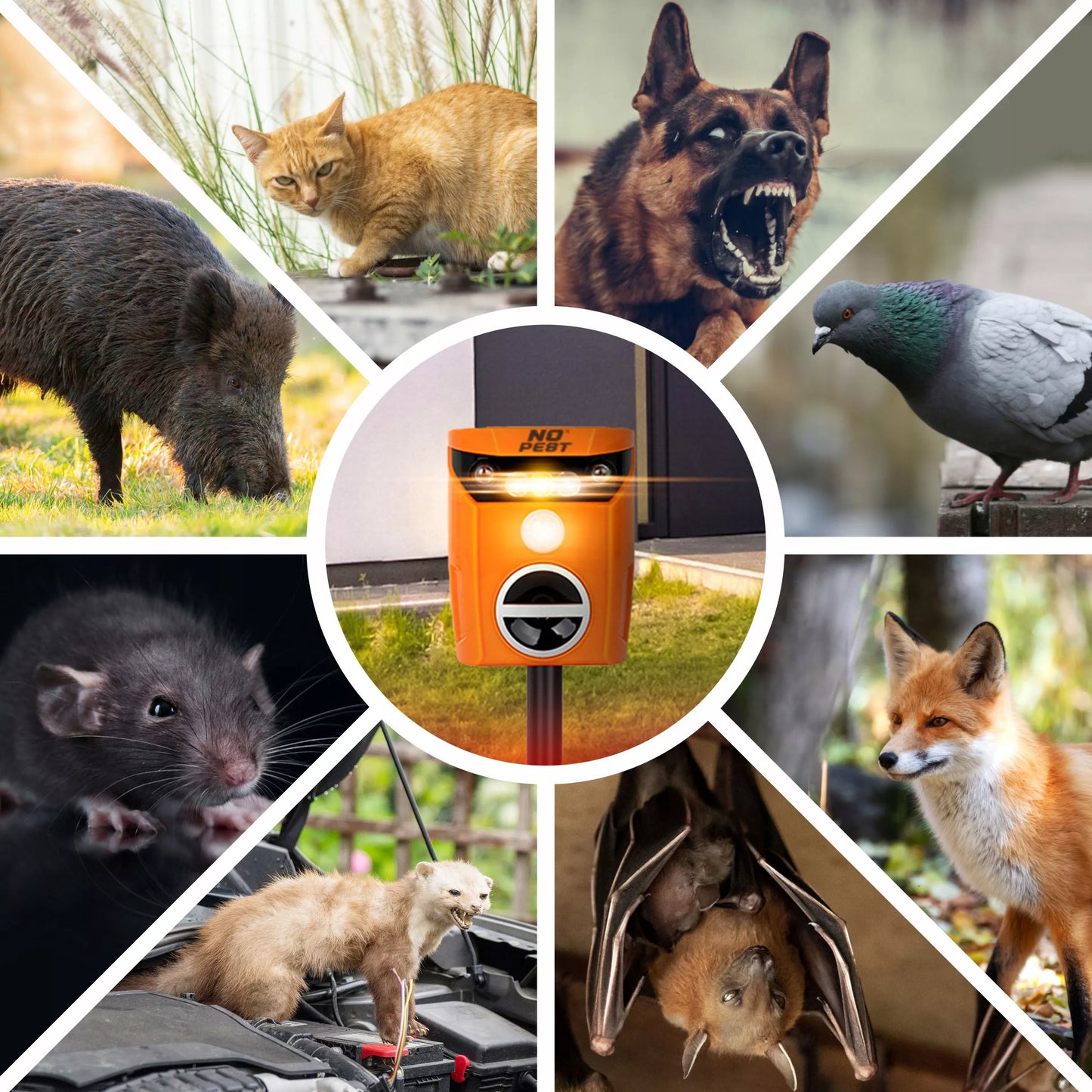 ULTRAGARSINIS GYVŪNŲ (KAČIŲ, ŠUNŲ, KUNIŲ, LAPIŲ, ŠERNŲ, STIRNŲ, ELNIŲ) BAIDYKLAS NO PEST