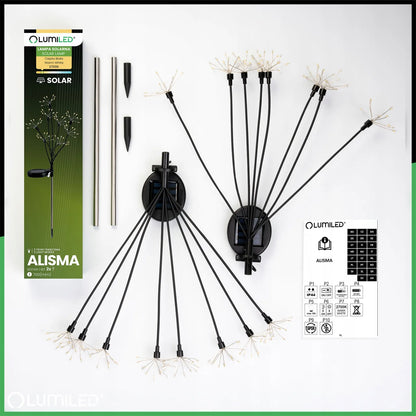 2x Lumiled LED saulės sodo šviestuvai į žemę, lauko apšvietimas terasai