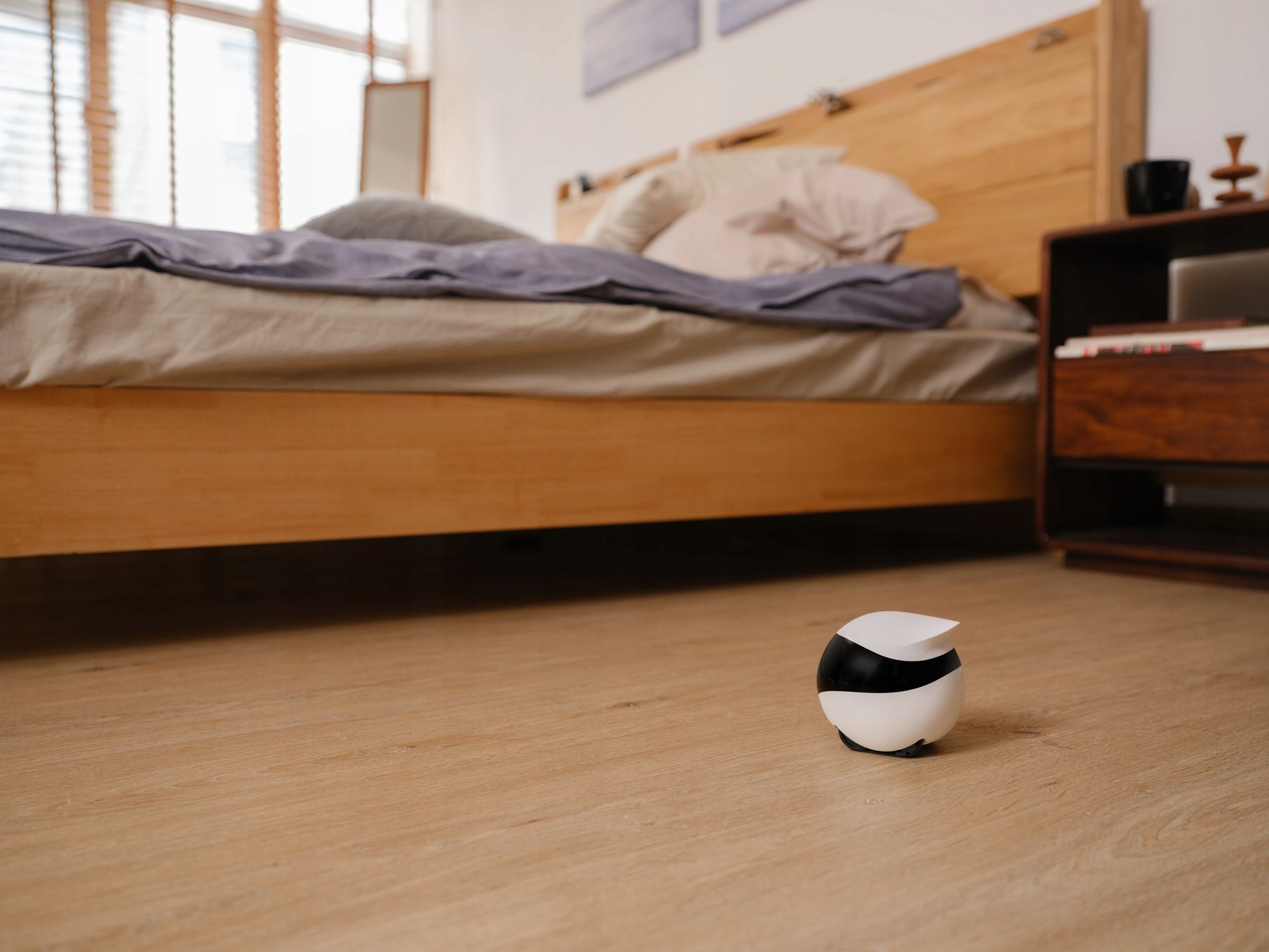 Namų, mobilus stebėjimo robotas Enabot EBO SE, kamera, pramogos, garsas