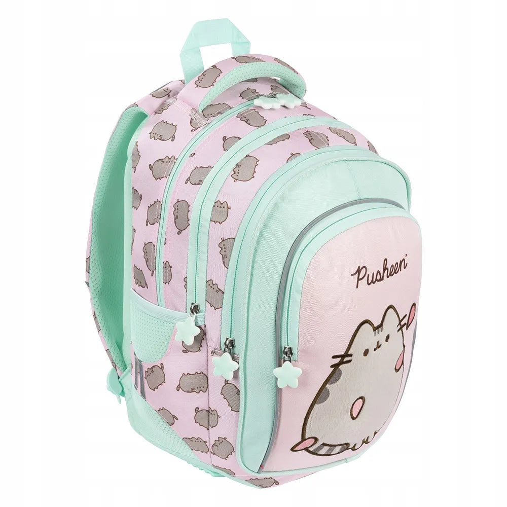 4 skyrių kuprinė Pusheen Pink 9438