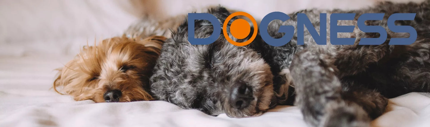 DOGNESS automatinis LED fontanėlis katėms ir šunims, tylus + filtras, 1 l