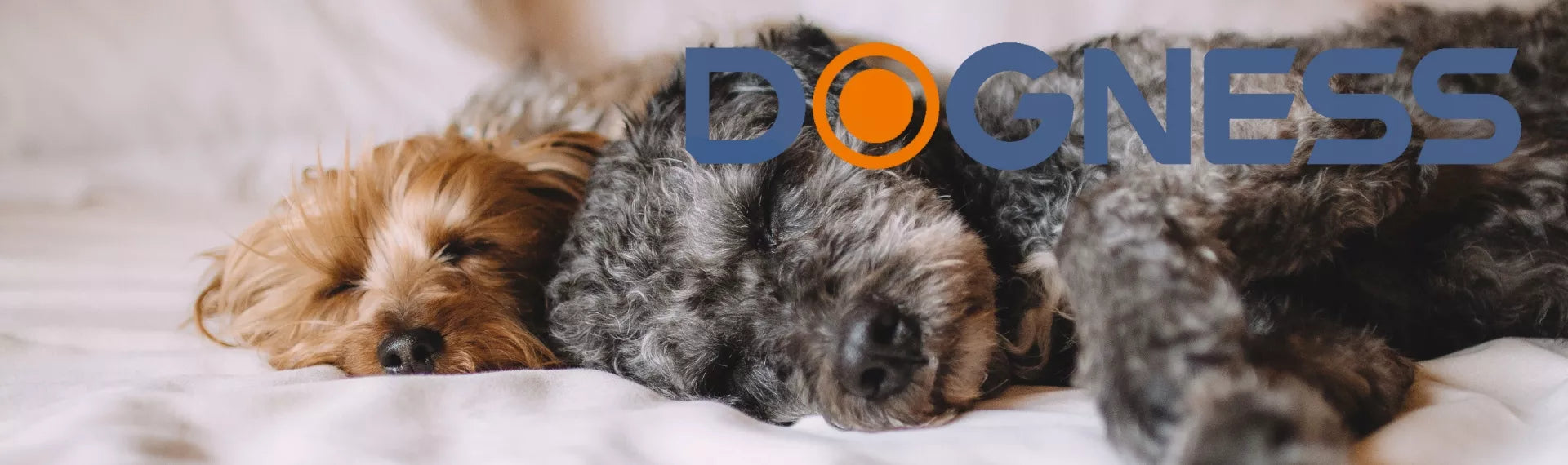 DOGNESS automatinis LED fontanėlis katėms ir šunims, tylus + filtras, 1 l