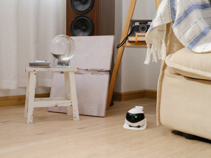 Namų, mobilus stebėjimo robotas Enabot EBO SE, kamera, pramogos, garsas