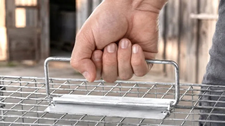 65 cm humanitarinė gyvagaudė gaudyklė kiaunėms, žiurkėms, lapėms, ūdrams ir žebenkštims
