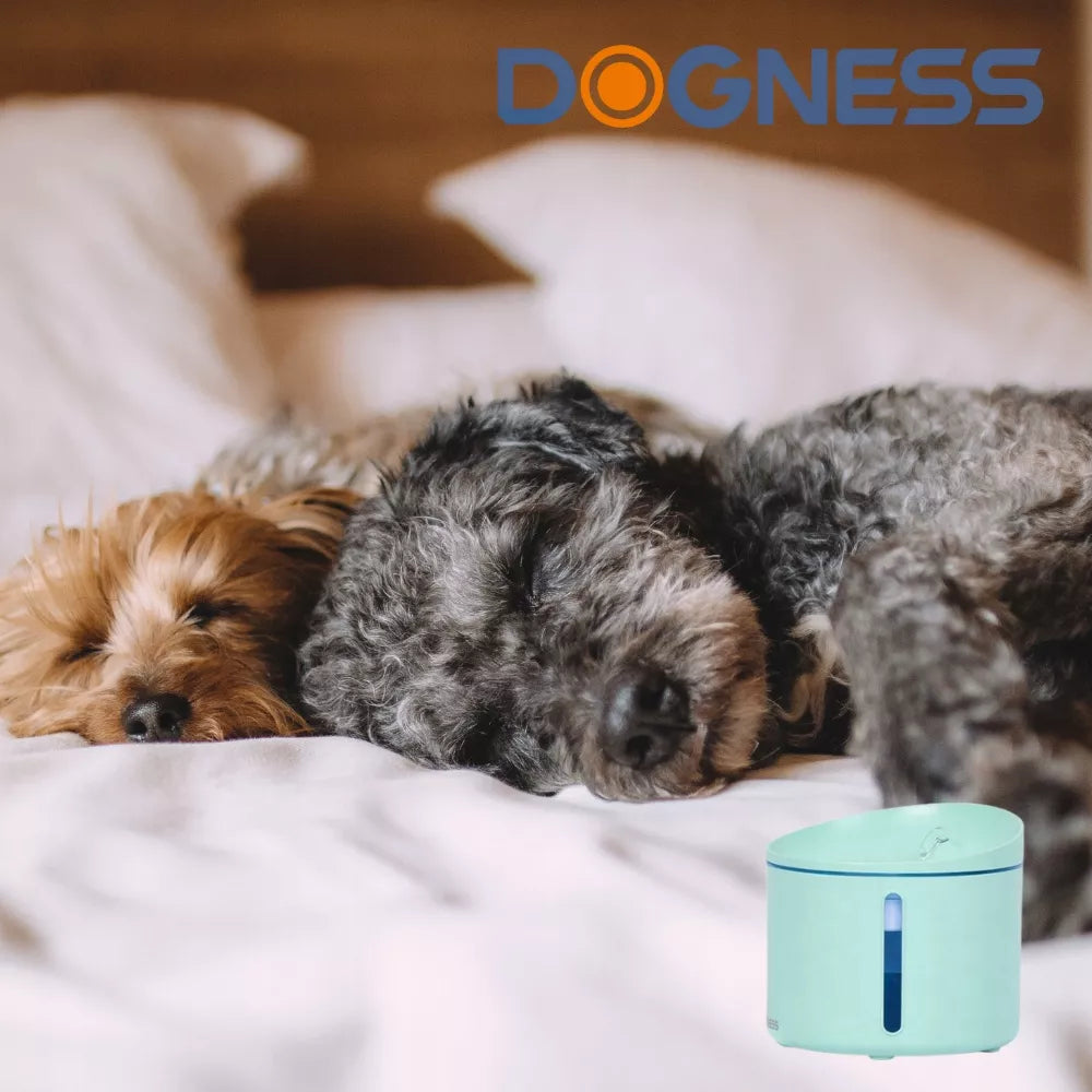 DOGNESS automatinis LED fontanėlis katėms ir šunims, tylus + filtras, 1 l
