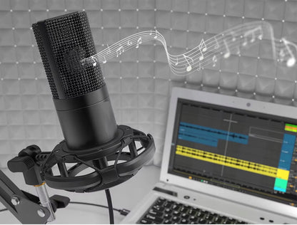 Kompiuterinis žaidimų kondensatorinis studijinis mikrofonas su stovu, USB rinkinys