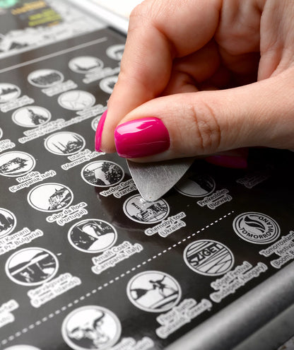 Nutrinamas Europos žemėlapis (dovana)