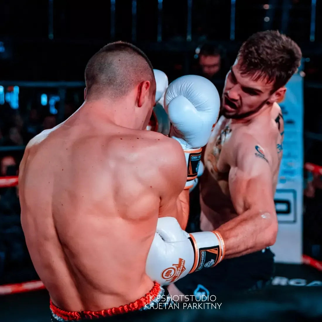 BESTSELLER universalios bokso pirštinės BOKSAS Kickboxing BUSHIDO 12 oz