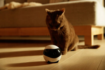 Namų, mobilus stebėjimo robotas Enabot EBO SE, kamera, pramogos, garsas