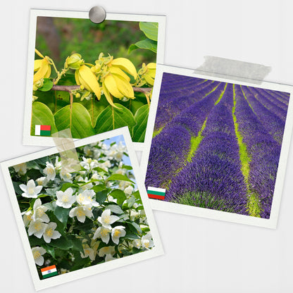 Natūralių aliejų rinkinys pirčiai 20 vnt. ALL