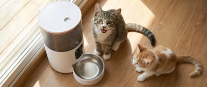 AUTOMATINIS KATĖS IR ŠUNS MAISTO DOZATORIUS, 3L MAITINIMO DOZATORIUS - WIFI