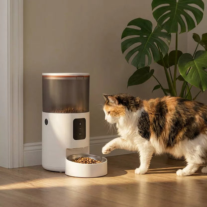 AUTOMATINIS KATĖS IR ŠUNS MAISTO DOZATORIUS, 3L MAITINIMO DOZATORIUS - WIFI