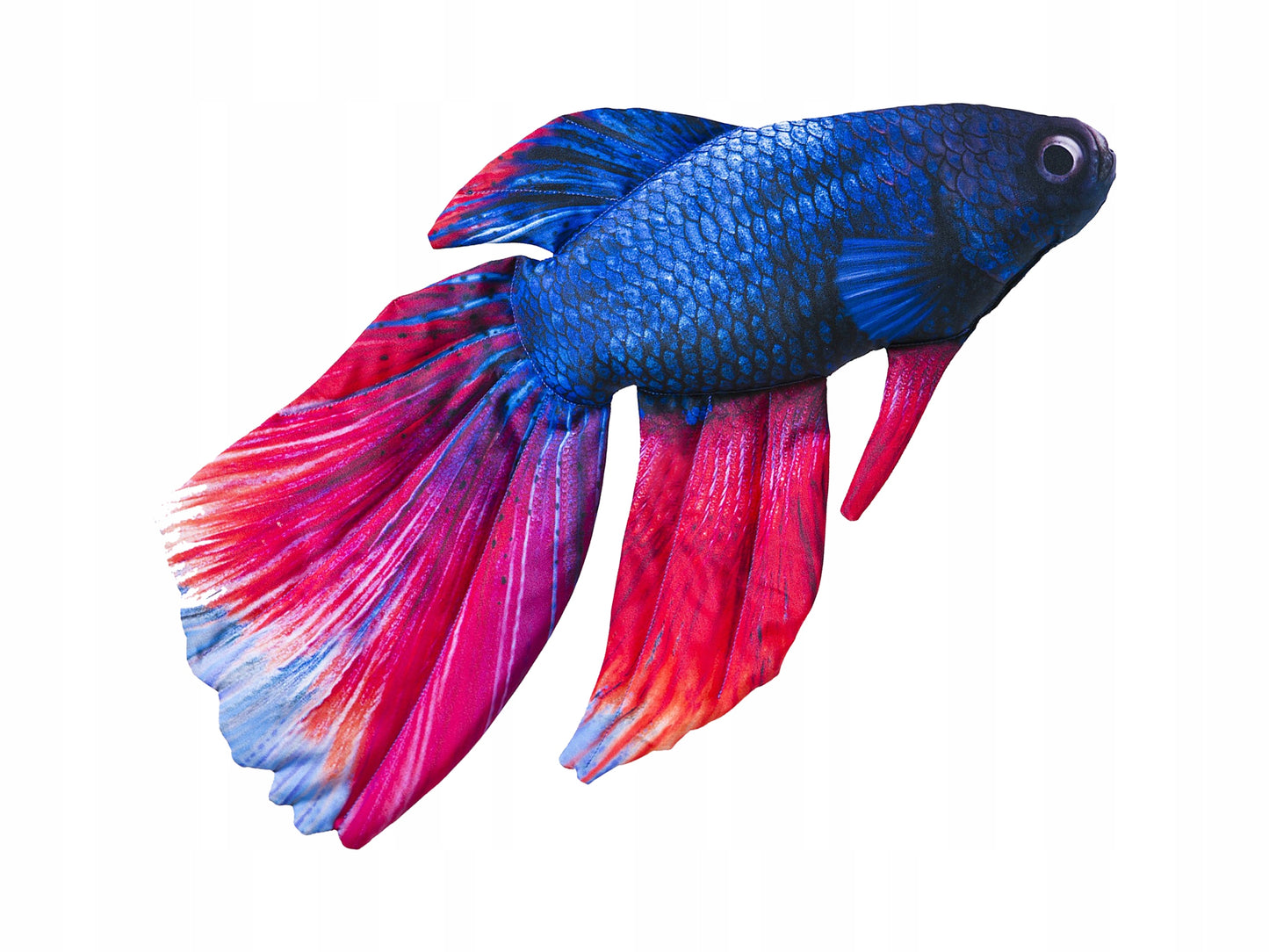 Tailando kovotojas "Bojownik syjamski" Akvariumo žuvis, lyg gyva pagalvėlė, 53 cm. Tinka dovanai