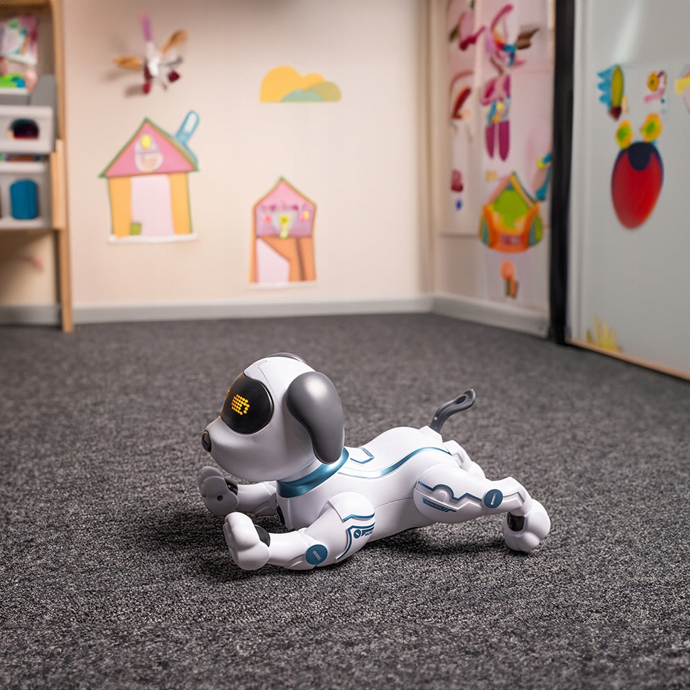 Programavimui ir kodavimui Maxlife nuotoliniu būdu valdomas šuo