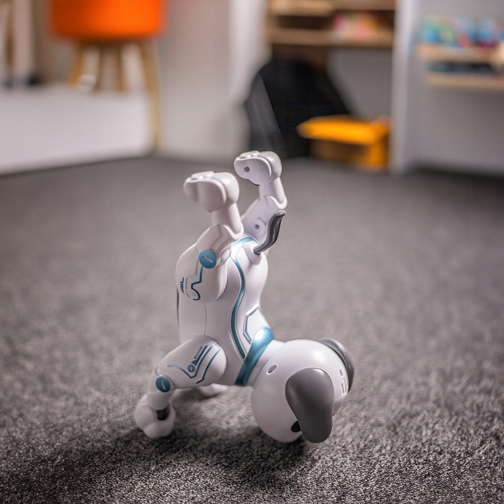 Programavimui ir kodavimui Maxlife nuotoliniu būdu valdomas šuo