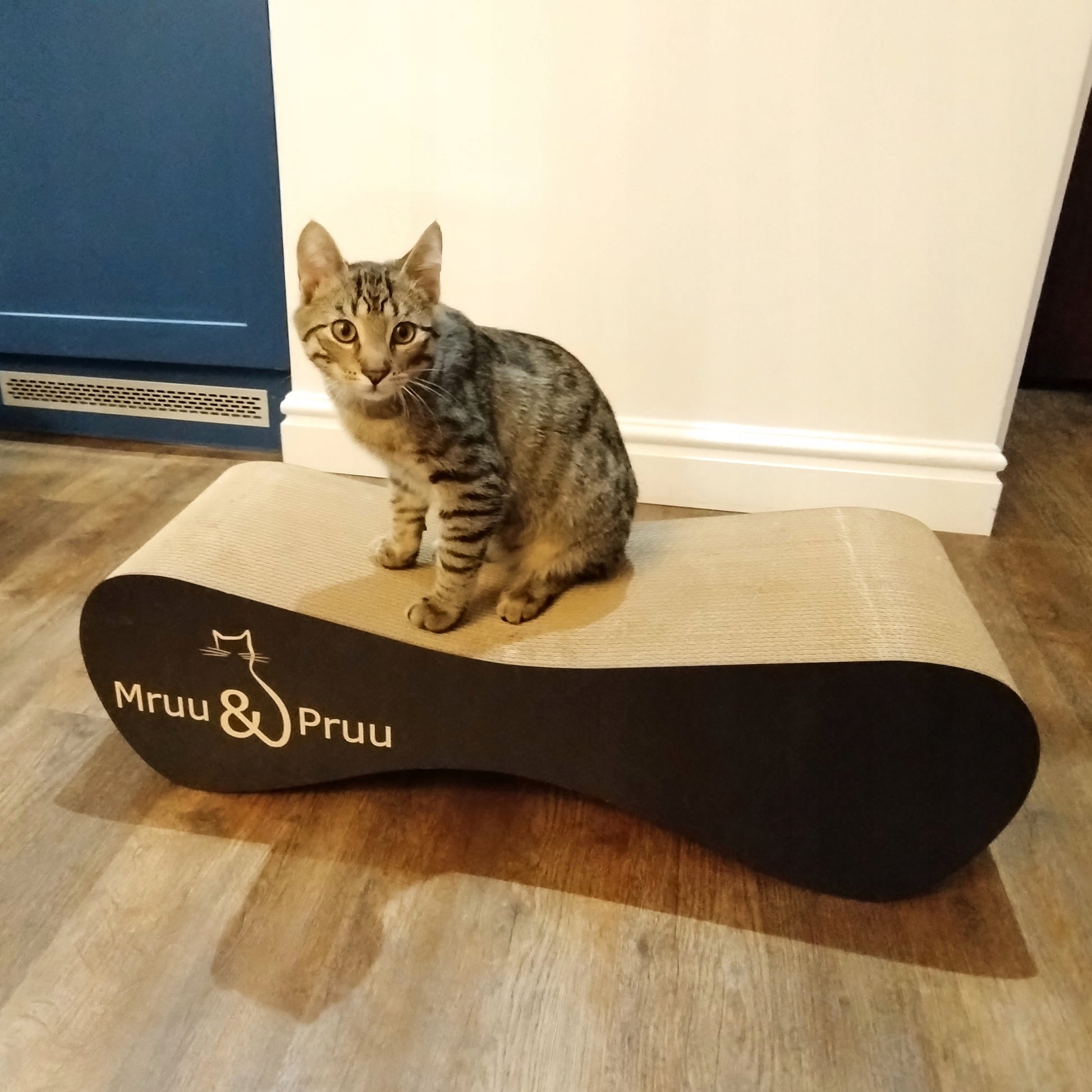 Juoda draskyklė Mruu&Pruu draskyklė katei Mimi
