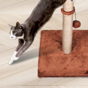 Katės draskyklė palmių stulpelis žaislas