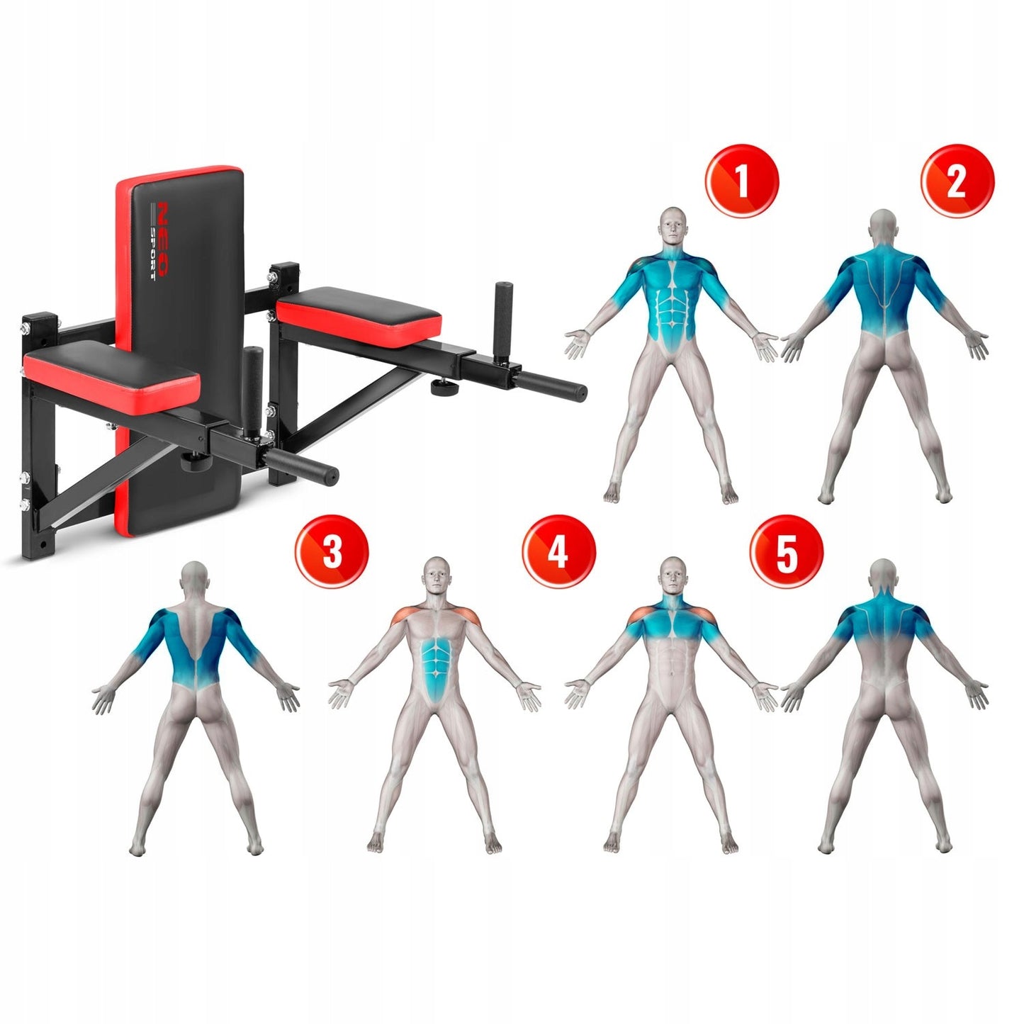 Sieninis atramų rankoms stovas NS-320
