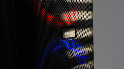 Nešiojamas Karaoke Partybox garsiakalbis Ferguson 400BT 60W FM BT USB AUX DSP