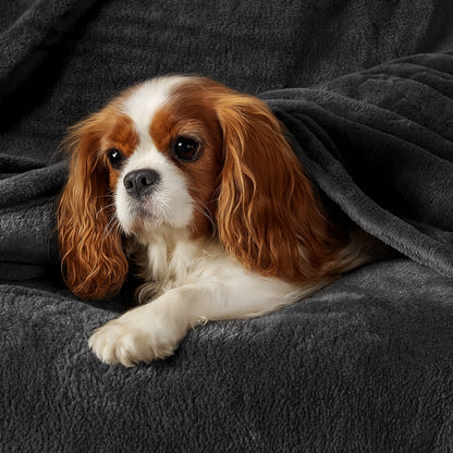 Šilta, minkšta, stora pledas antklodė lovai ir sofai, 150x200 cm, dovana, įvairios spalvos