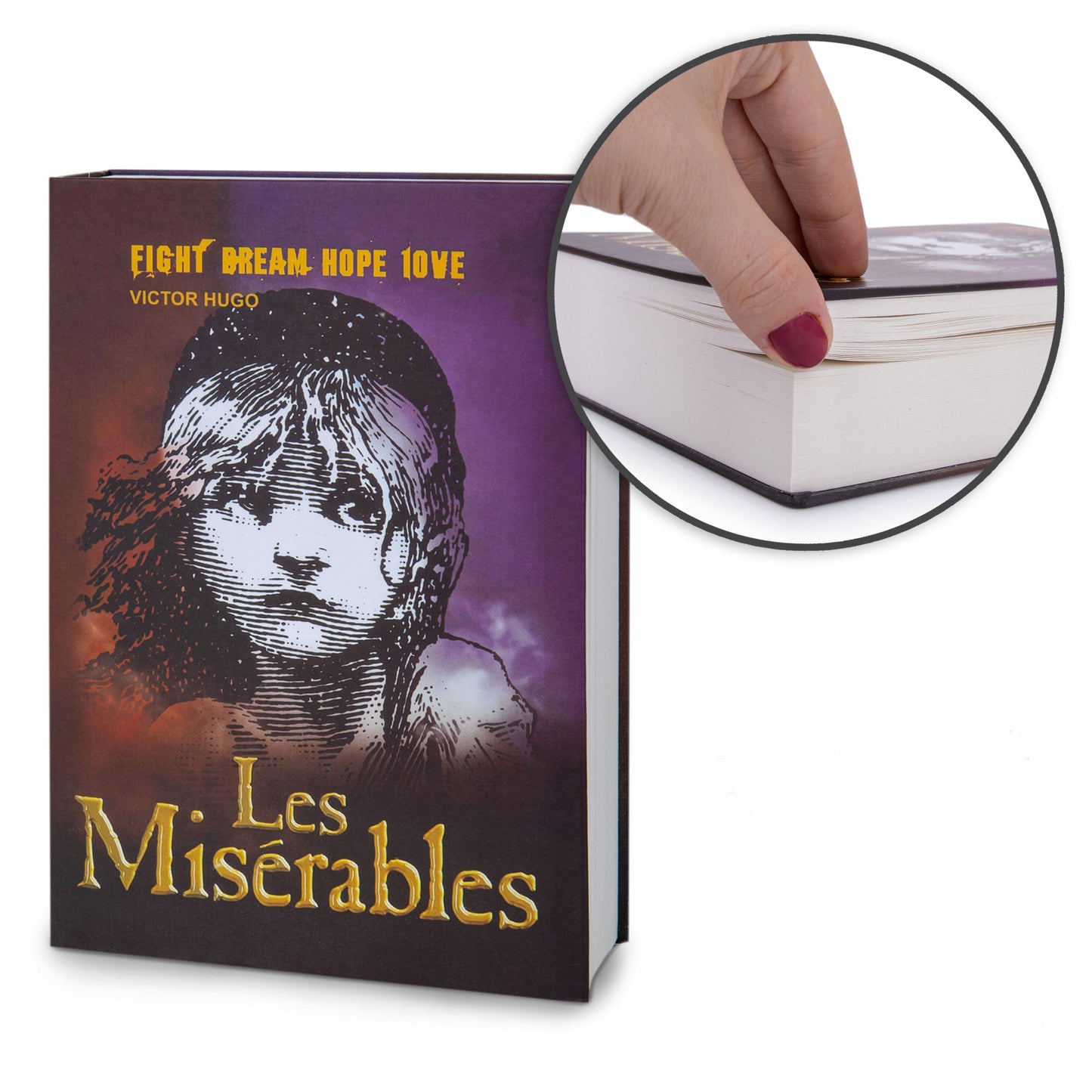 Seifinė knyga pinigams, paslėpta pinigų dėžutė, slėptuvė