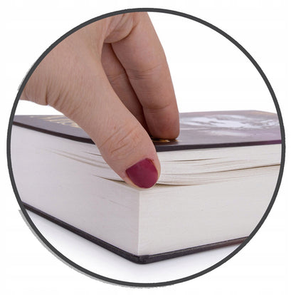 Seifinė knyga pinigams, paslėpta pinigų dėžutė, slėptuvė