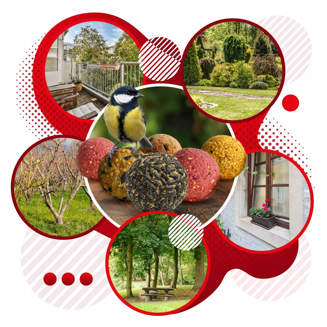 PREMIUM VIELINĖS SPALVOTI 50 vnt. LESALAS LESYKLĖMS