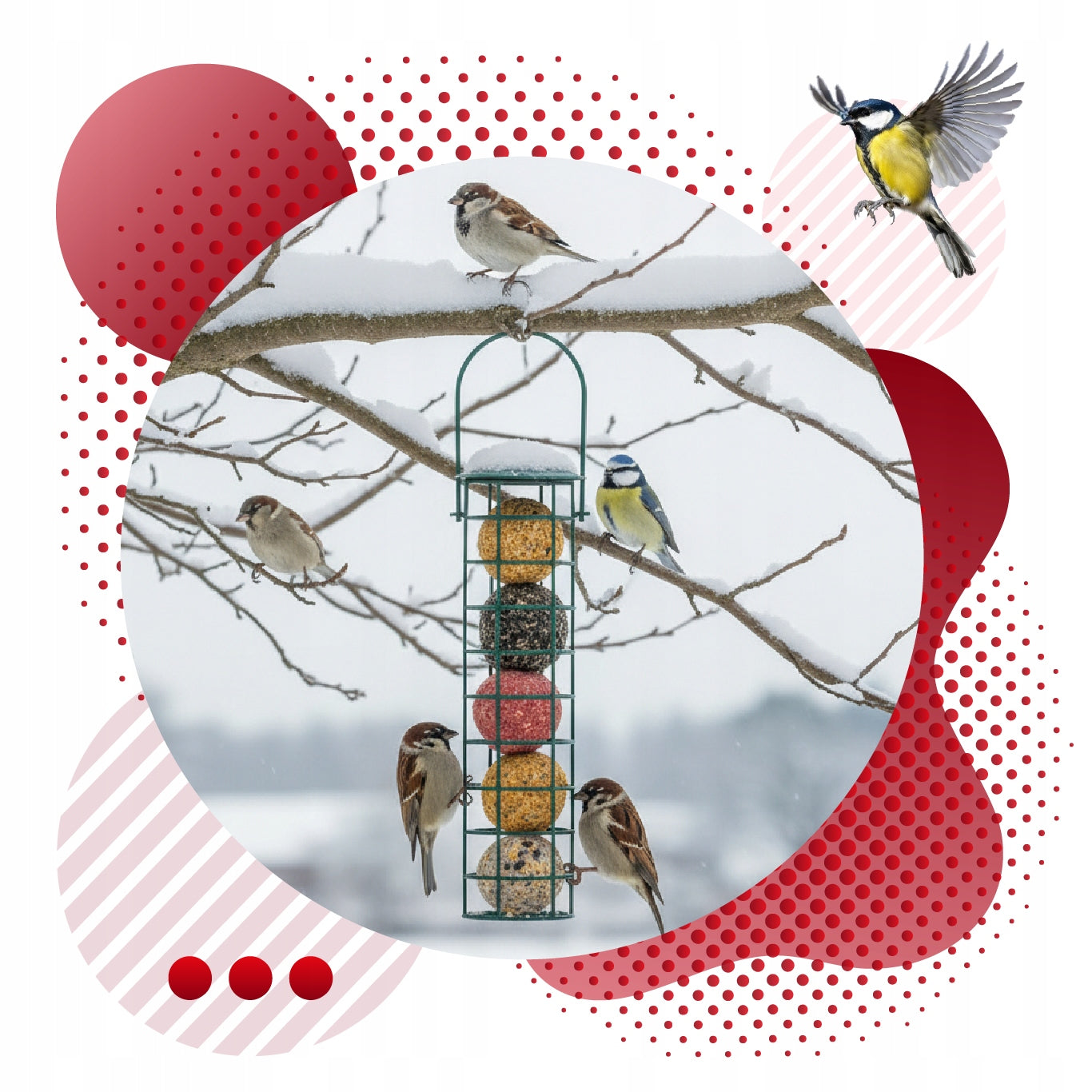 PREMIUM VIELINĖS SPALVOTI 50 vnt. LESALAS LESYKLĖMS