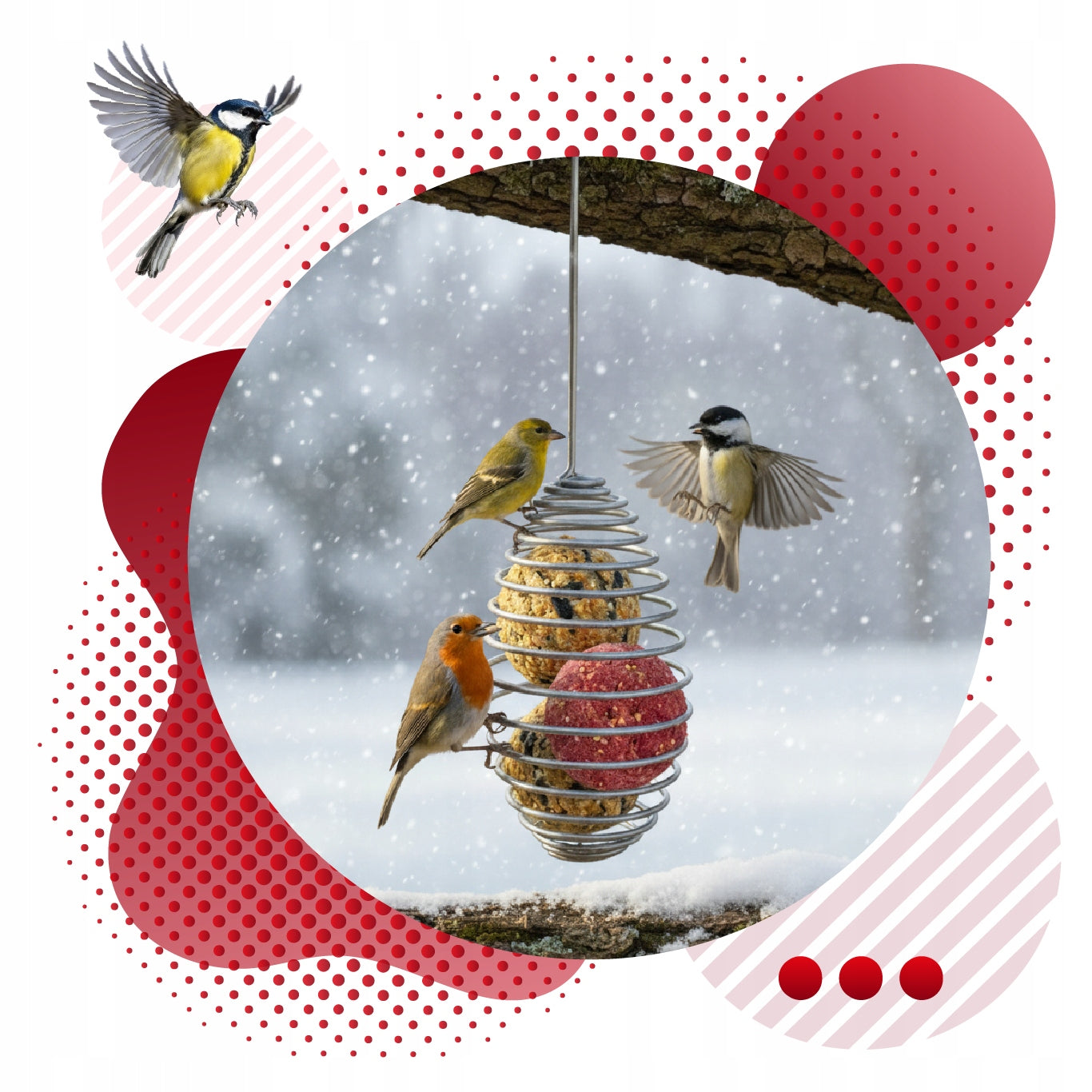 PREMIUM VIELINĖS SPALVOTI 50 vnt. LESALAS LESYKLĖMS