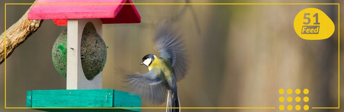 PREMIUM VIELINĖS SPALVOTI 50 vnt. LESALAS LESYKLĖMS