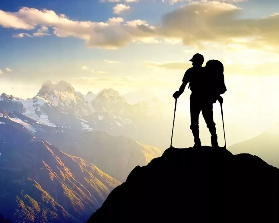 NORDIC WALKING TREKKINGOWE lazdai vaikščiojimui REGULIUOJAMI Rinkinys 2 vnt