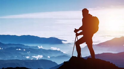 NORDIC WALKING TREKKINGOWE lazdai vaikščiojimui REGULIUOJAMI Rinkinys 2 vnt