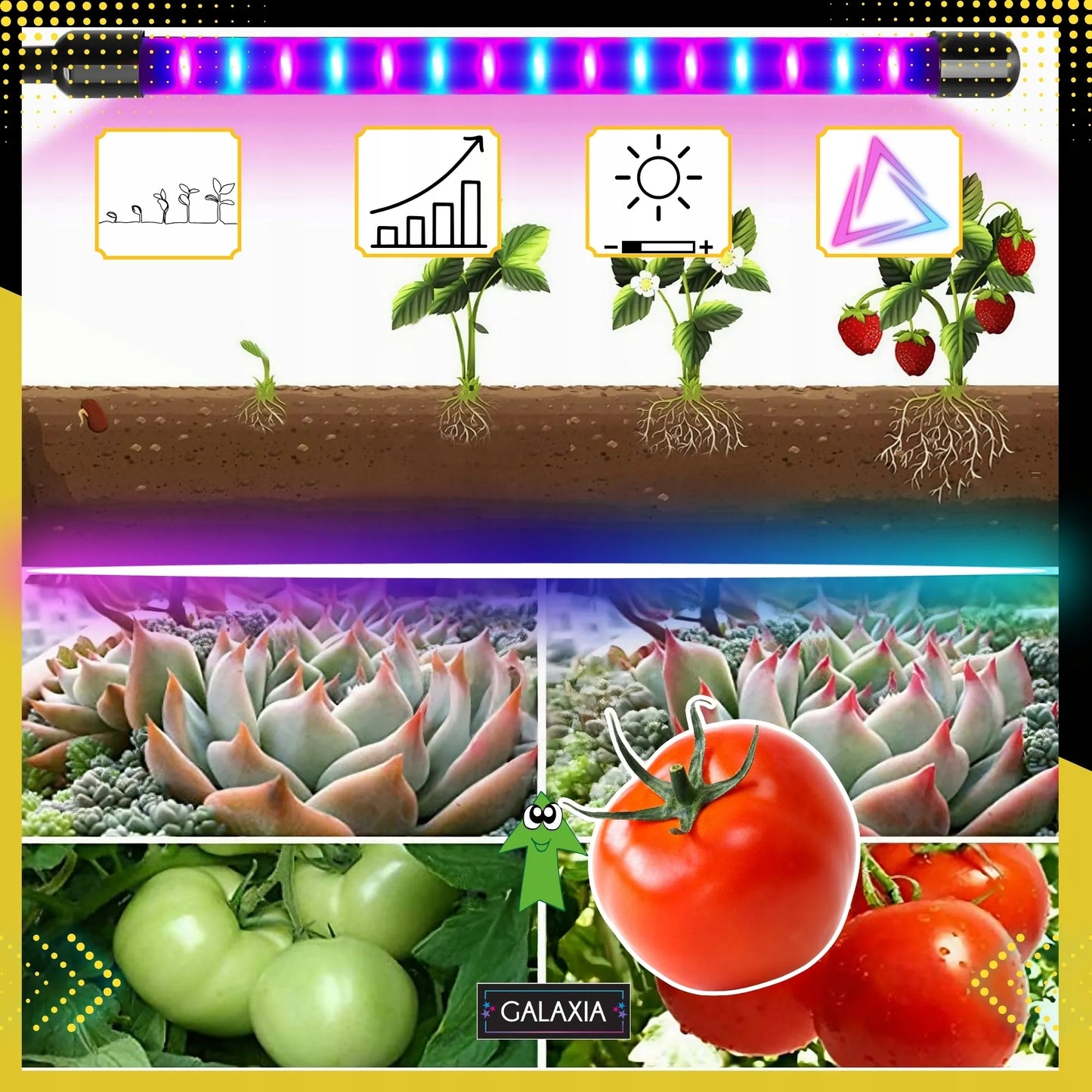 LED augalų lempa 3X augimui su laikmačiu (Grow apšvietimas)