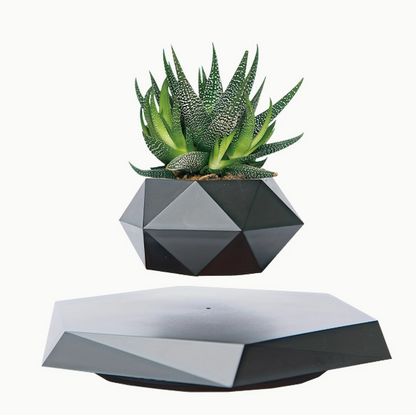 Levitating plant (black)