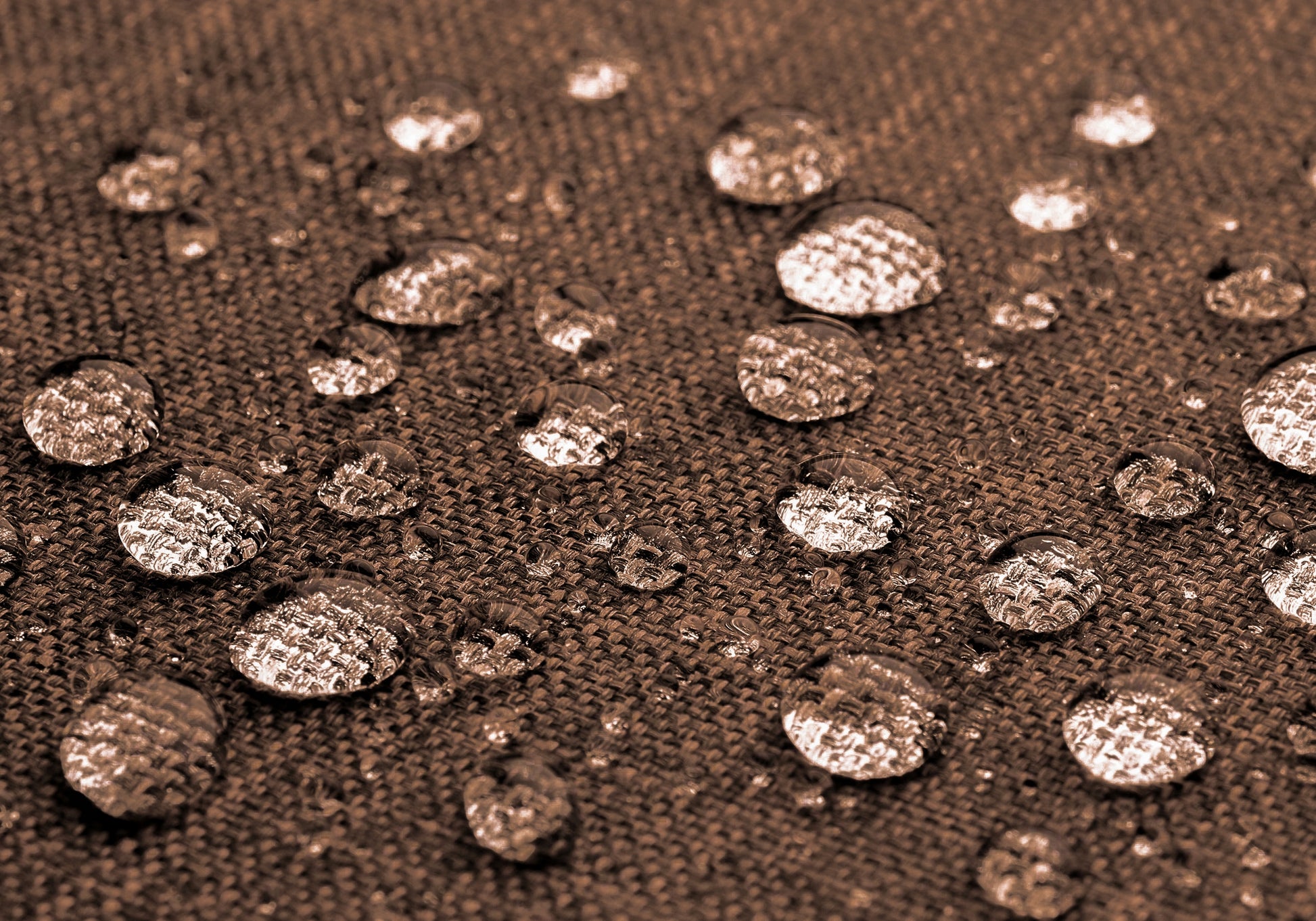 Didelė tvirta šunų lova XL 92x73 cm sofa-gultas Labradorui