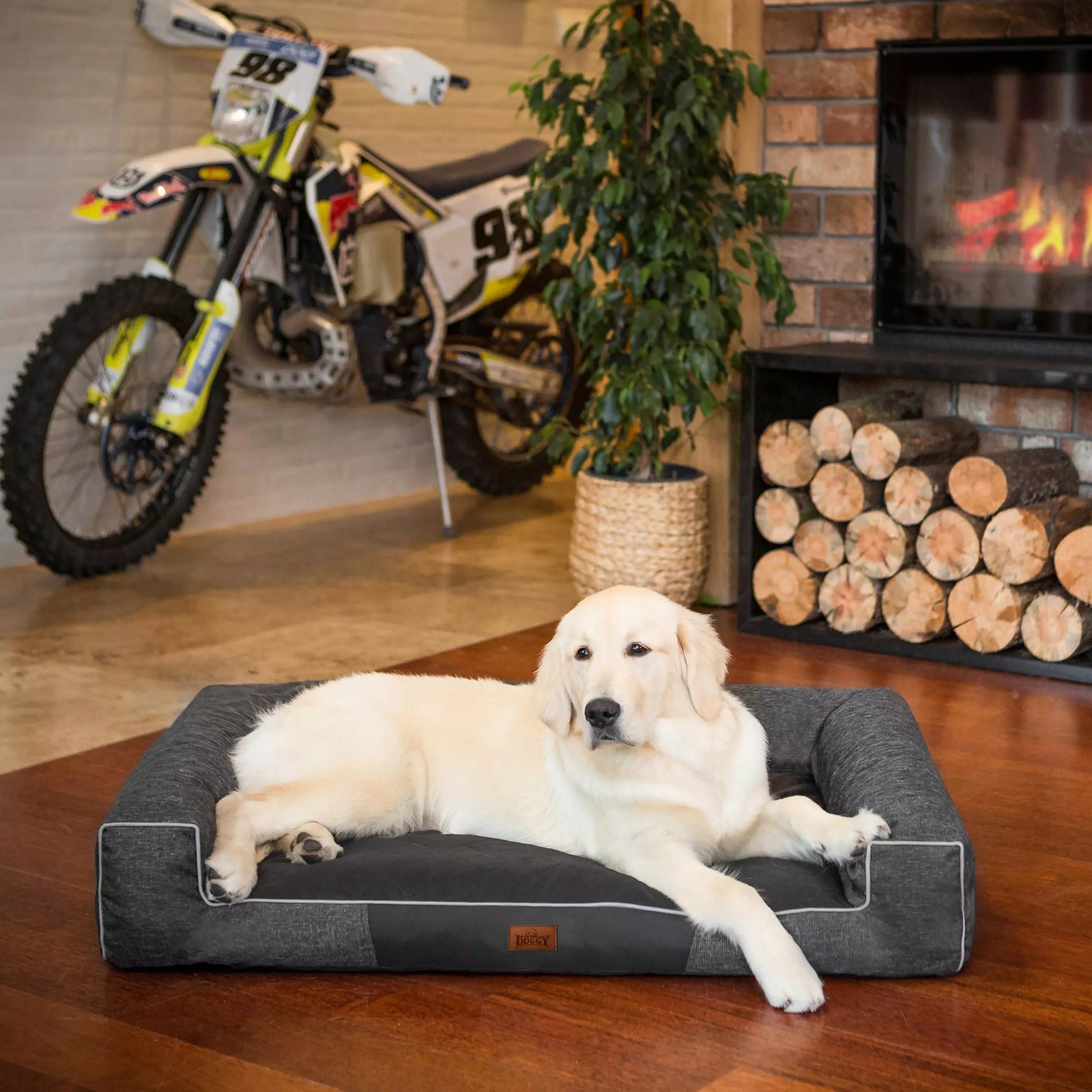 Šuns lova, Sofa Vandeniui atspari Nuimamas užvalkalas XL 100x65 cm